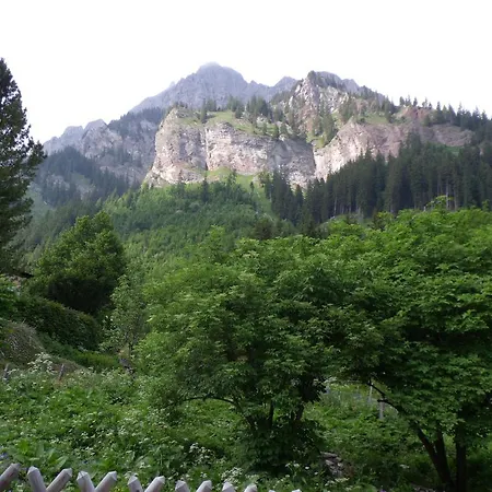 Haus Monika * Nesselwängle