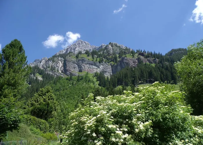 Haus Monika Apartment