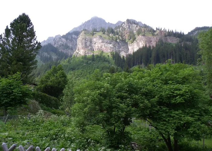 Haus Monika * Nesselwängle