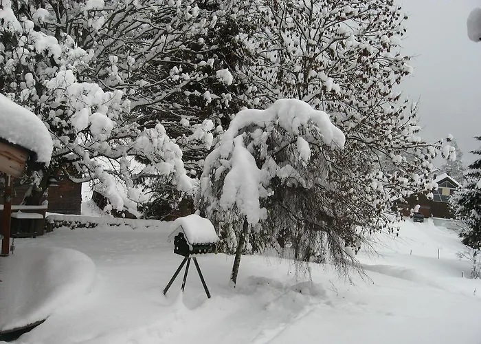 Haus Monika * Nesselwängle
